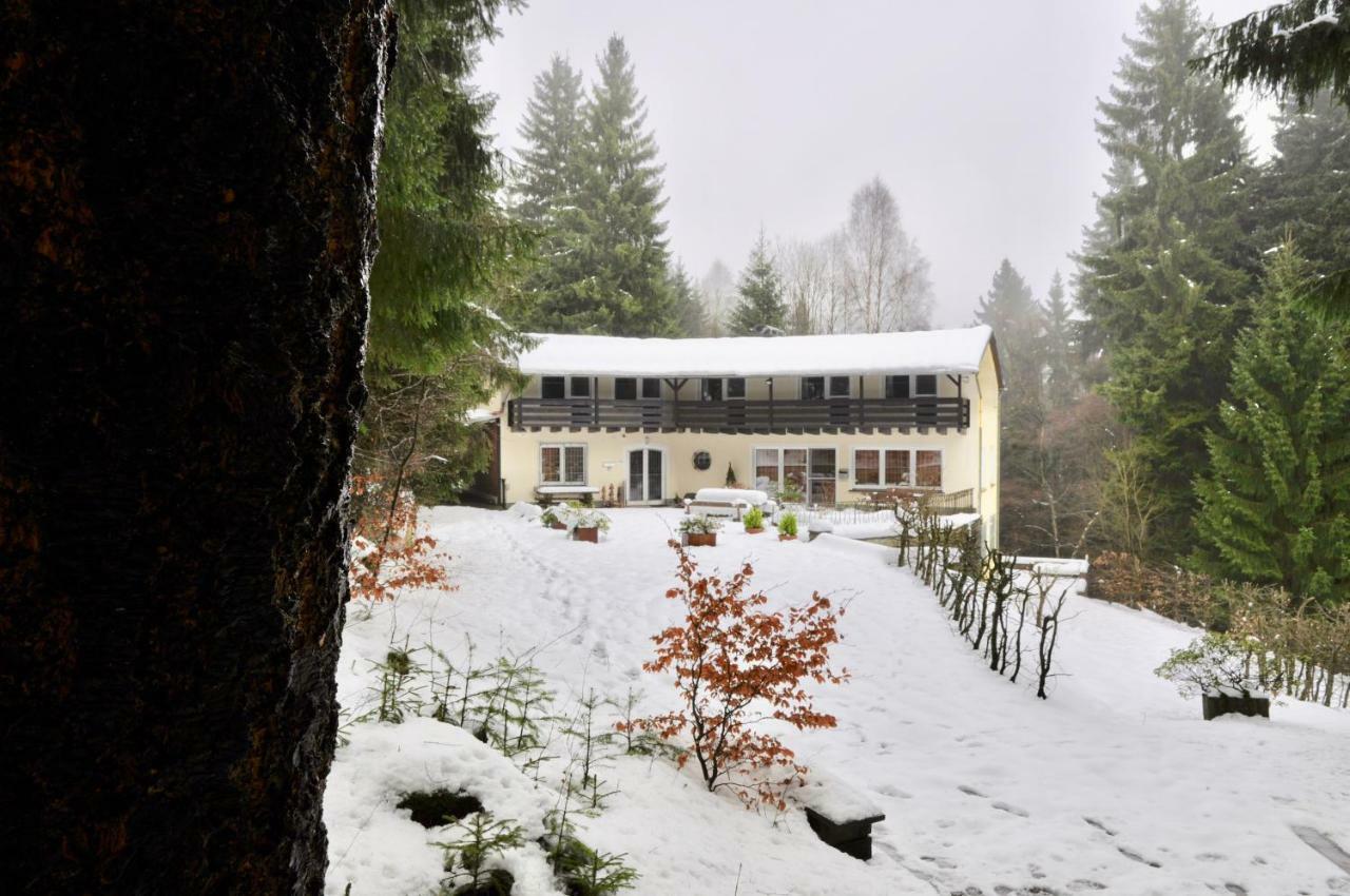 Ferienhaus Hirtenwiese Willingen  Exterior photo